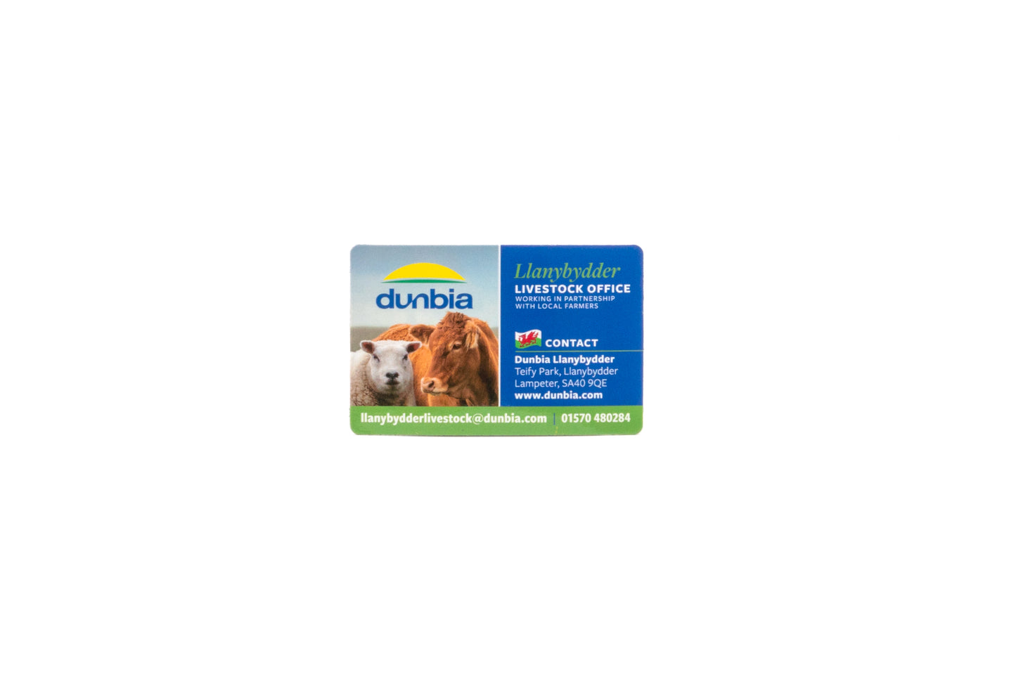 Procurement Fridge Magnets - Llanybydder