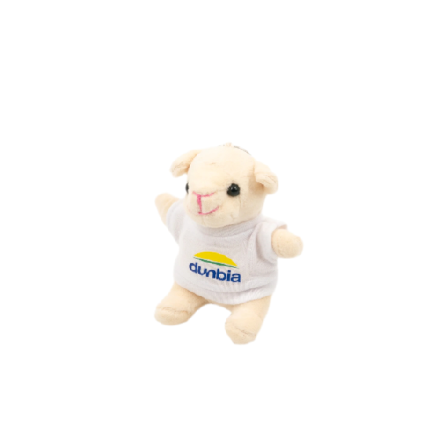Plush Sheep Keyring with T-shirt - Dunbia